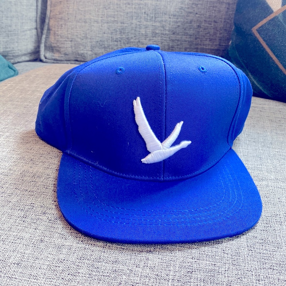 NEW Grey goose hat